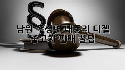 남원 주생면 내동리 디젤 중고차 판매 꿀팁 🚗💨